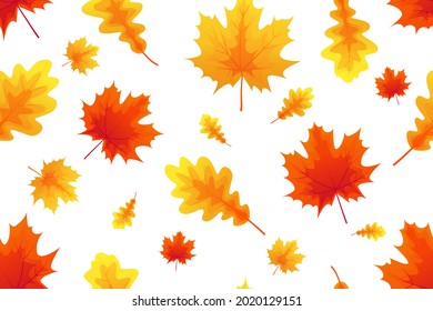 Autumn seamless pattern, red and orange maple and oak leaves on white background. Autumn nature. Perfect for wallpaper, gift paper, template fill, web page, autumn greeting cards. Vector illustration