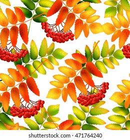 Autumn seamless pattern with rowan leaves. Vector illustration.