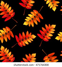 Autumn seamless pattern with rowan leaves. Vector illustration.