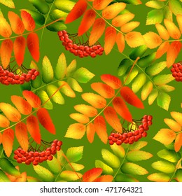 Autumn seamless pattern with rowan leaves. Vector illustration.