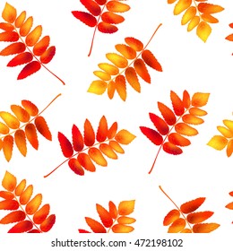 Autumn seamless pattern with rowan leaves. Vector illustration.
