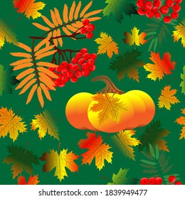Autumn seamless pattern. Rowan, pumpkin, maple leaves, green background.