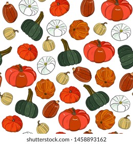  Autumn seamless pattern of  various pumpkinsThanksgiving day,Halloween background.Vector autumn illustration of vegetables.for wrap paper,wallpaper, background,fabric print.Detailed  hand drawn