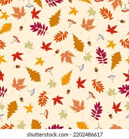 Autumn seamless pattern. Vector illustration.
