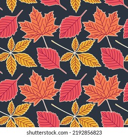 Patrón sin fisuras de otoño. Hojas amarillas, naranjas y rojas sobre fondo negro. Diseño para papel tapiz, papel de regalo, fondo de página web, tarjetas de felicitación de otoño. Ilustración vectorial.
