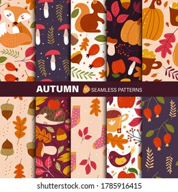 Autumn seamless patterns. Autumn art print. Modern fall seasonal decor. Botany design for wrapping paper, fabrics, covers and cards. 