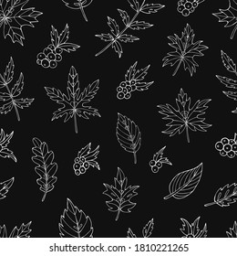 Autumn seamless vector pattern with leaves and berries. Falling colorful leaves. Perfect for seasonal and Thanksgiving Day, greeting cards, textile, wrapping.
