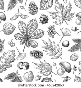 Autumn Seamless Vector Pattern With Leaves, Berries, Fir Cones, Nuts, Mushrooms And Acorns. Detailed Forest Botanical Background. Vintage Fall Seasonal Decor. Oak, Maple, Chestnut Leaf Drawing.