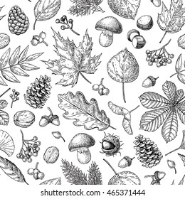 Autumn seamless vector pattern with leaves, berries, fir cones, nuts, mushrooms and acorns. Detailed forest botanical background. Vintage fall seasonal decor. Oak, maple, chestnut leaf drawing.