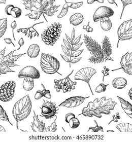 Autumn seamless vector pattern with leaves, berries, fir cones, nuts, mushrooms and acorns. Detailed forest botanical background. Vintage fall seasonal decor. Oak, maple, chestnut leaf drawing.