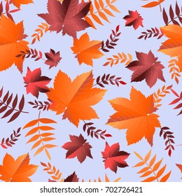 Autumn seamless vector pattern.Season background.