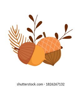 autumn season acorns leaves branch vector illustration