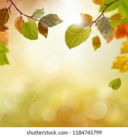 autumn season background