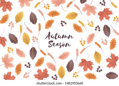 Autumn season background with fall leaf illustration