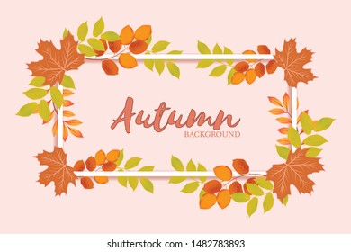 Autumn season background with fall leaf decoration