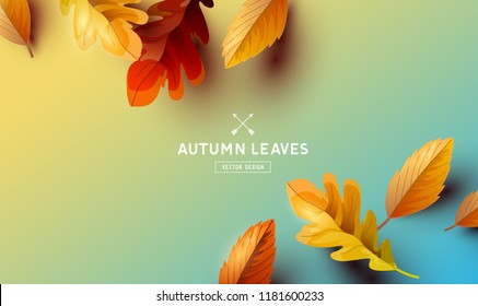 Autumn season background with falling autumn leaves and room for text. Vector illustration