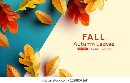 Autumn season background with falling autumn leaves and room for text. Flat lay Vector illustration