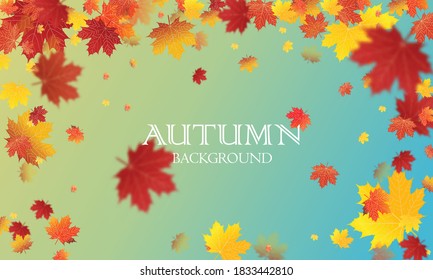 Autumn season background with falling autumn leaves for text. Vector illustration