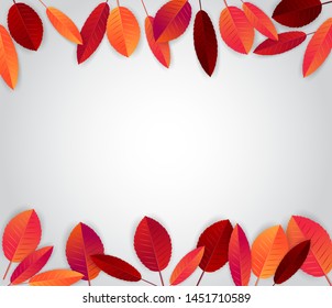 Autumn season background with red and orange leaves and free space for text. Vector illustration.