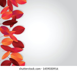 Autumn season background with red and orange leaves and free space for text. Vector illustration.