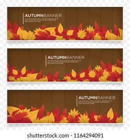 Autumn Season Banner Template With Maple Leafs, Fall, Halloween, Thanksgiving, vector eps 10 