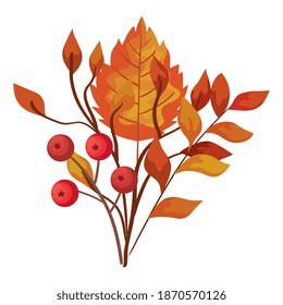 autumn season branches with orange leafs nature decoration vector illustration design