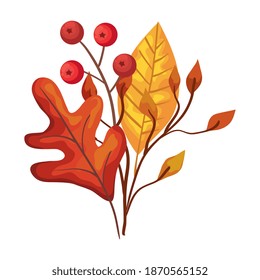 autumn season branches with yellow leafs nature decoration vector illustration design