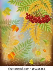 Autumn season card with spiderweb, vector illustration