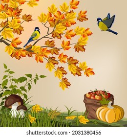 Autumn season in color illustration.Autumn leaves, mushrooms, pumpkin, apples and birds in color vector illustration.