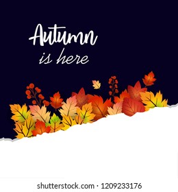Autumn season with creative design and dark background vector