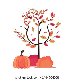 Autumn season cute pumpkins tree and bushes cartoons vector illustration graphic design