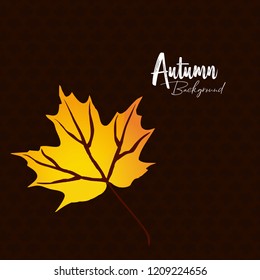 Autumn season design with dark background vector