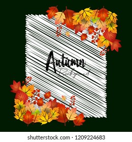 Autumn season design with dark background vector