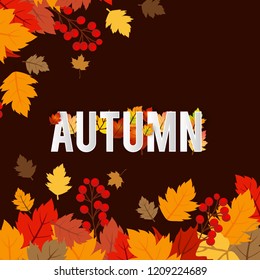 Autumn season design with dark background vector