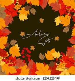Autumn season design with dark background vector