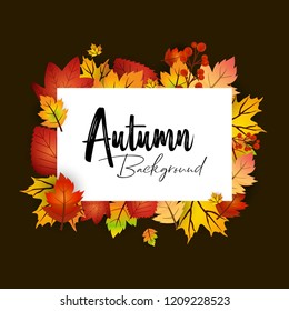 Autumn season design with dark background vector