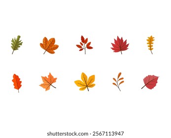 Autumn Season Design Element Set