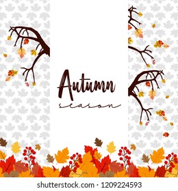 Autumn season design with light background vector
