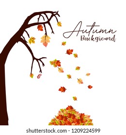 Autumn season design with light background vector