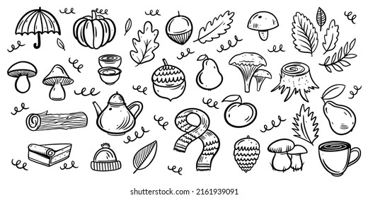 Autumn season fall doodle set objects. Hand drawn black color sketch vector illustration isolated on white background.