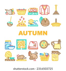 autumn season fall leaf icons set vector. leaves nature, foliage red, orange landscape, thanksgiving sale, tree yellow, maple autumn season fall leaf color line illustrations