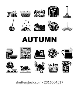 autumn season fall leaf icons set vector. leaves nature, foliage red, orange landscape, thanksgiving sale, tree yellow, maple autumn season fall leaf glyph pictogram Illustrations