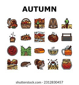 autumn season fall leaf nature icons set vector. orange foliage, banner maple, element red, sale plant, decoration colorful, october autumn season fall leaf nature color line illustrations