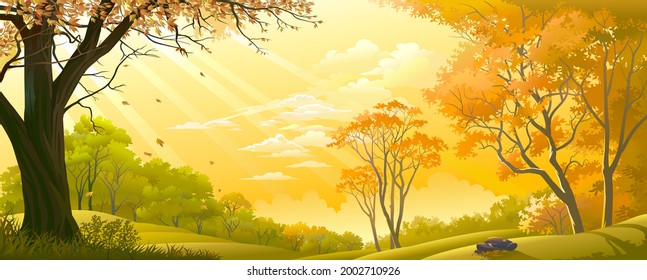 Autumn season in a forest lit with sunlight