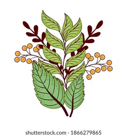 autumn season green leafs and branches plant nature vector illustration design