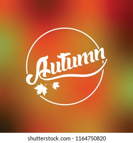 Autumn season greeting vector banner / poster.