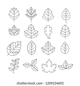 Autumn season icon design vector