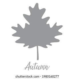 Autumn season icon. Vector illustration symbols.