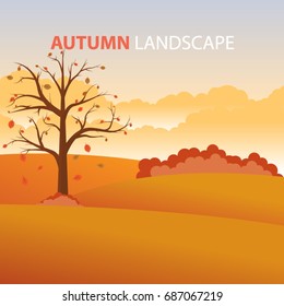 autumn season lanscape background