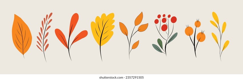 Autumn season leaf drawing illustration set. Hand drawn tree leave shapes on isolated background.